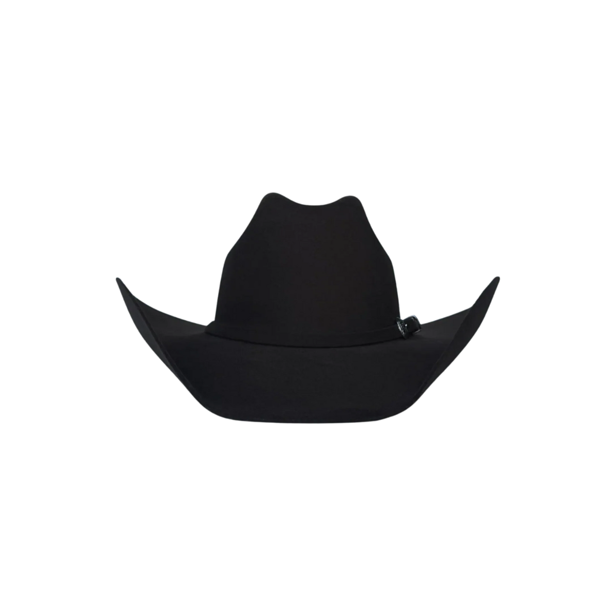 ARIZONA vista 5